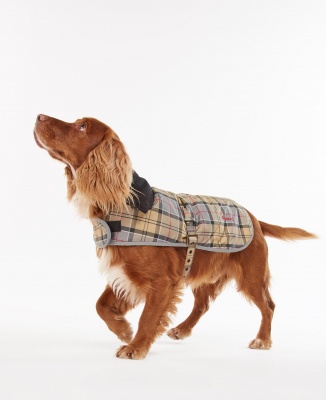 Barbour Wetherham Tartan Dog Coat - Dress Tartan