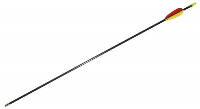 Petron Fibreglass Arrows