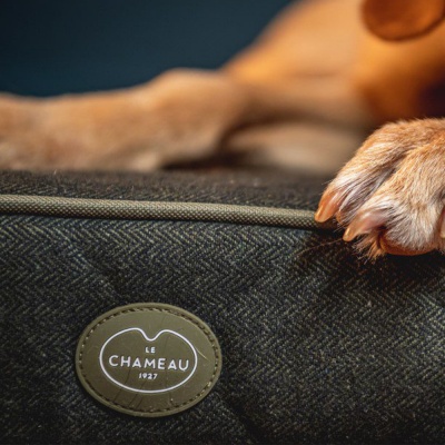 Le Chameau Cushion Dog Bed - Vert Chameau
