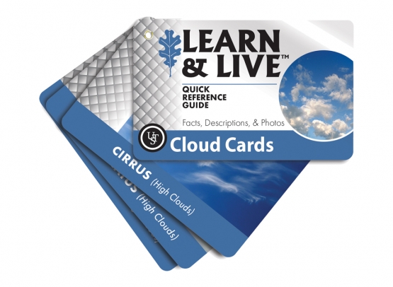 UST Learn & Live Cards - Clouds