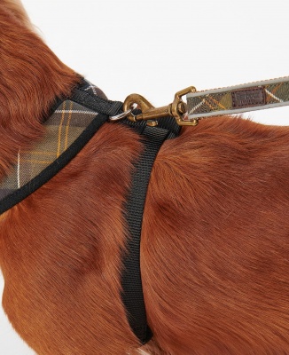 Barbour Tartan Dog Harness - Classic Tartan