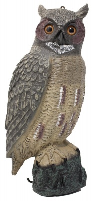 East Anglian Great Horned Owl